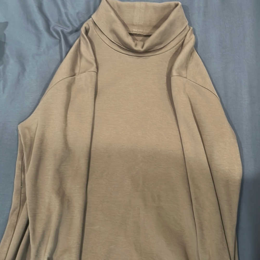 Uniqlo Beige Turtleneck
